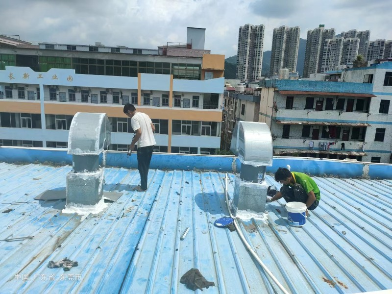 蒋湖农场钢结构屋面涂料维修方法