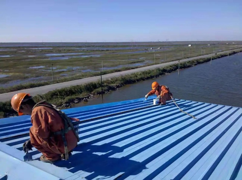 蒋湖农场钢结构屋面漏水原因